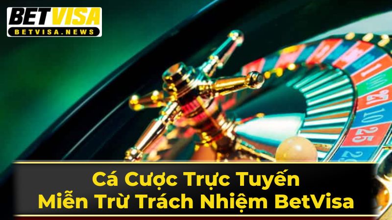 Quy Định Về Truy Cập và Sử Dụng